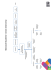 WSU Structure Overview