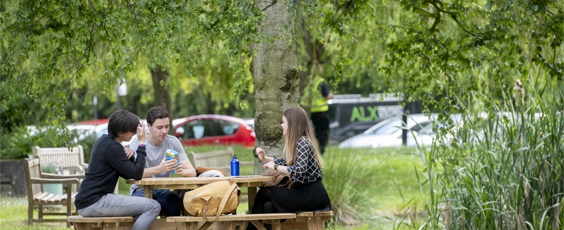 Warwick Student's Union promotes sustainability through initiatives aimed at reducing carbon emissions and achieving net zero. Led by James Varney and Helena Ratcliffe, the SU encourages students to get involved, review sustainability reports, and join various environmental societies to foster an ethically responsible and eco-friendly campus community.
